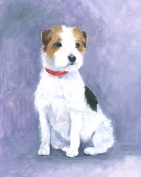 Prestance du terrier
