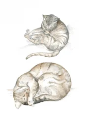 Deux études de chats