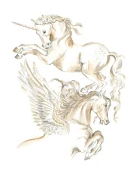 Licorne et Pégase