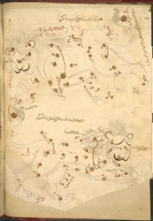 Or 5323 f.45v Deux lions, illustration de 