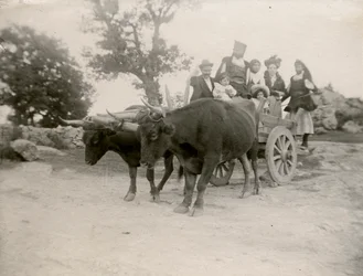 Famille sur une charrette tirée par des bœufs, Sardaigne, Italie, vers 1910