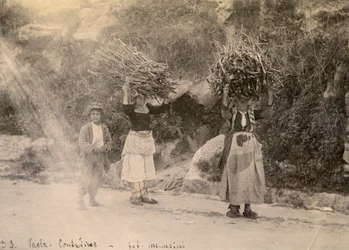 Paysans portant des fagots de bois sur la tête, Paola, Calabre, photographie de Leopoldo Menarini, vers 1910