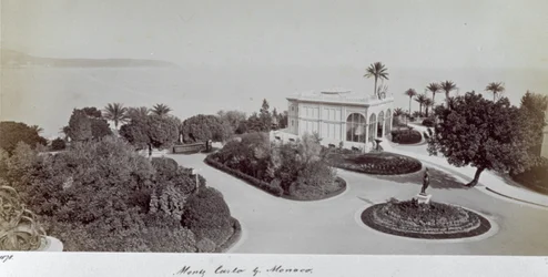 Vue d