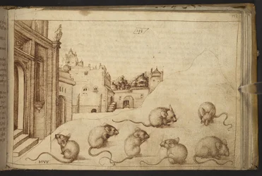 Des souris (