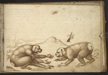 Créatures ressemblant à des chiens se battant (