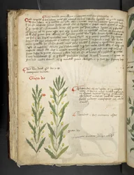 Add MS 41623 f.39v 