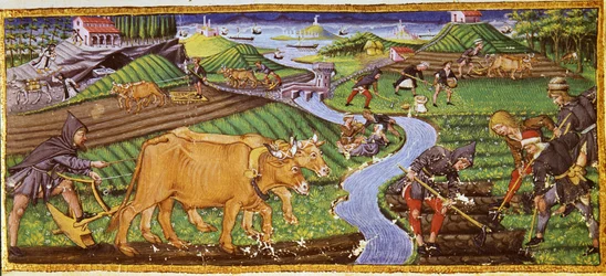 Agriculture au début du 15ème siècle. Biblioteca Ricciardiana, Florence.