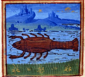 Signe du Cancer. Horoscope italien ; milieu du XVe siècle