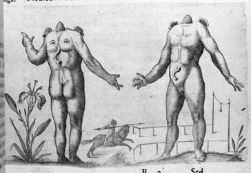 Différents types de monstres humains : un homme sans tête. Gravure de « De monstrorum natura, causis et differentiis » par Fortunio Liceti, 1646
