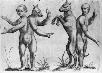 Différents types de monstres humains : deux créatures à double corps, mi-homme mi-chien (Siamois). Gravure tirée de « De monstrorum natura, causis et differentiis » par Fortunio Liceti (1577-1656), scientifique italien. 1646