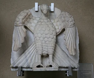 Aigle