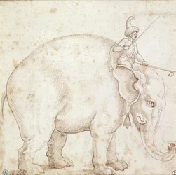 Éléphant Hanno et son cornac