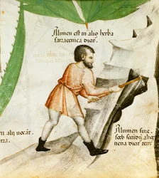 Extraction de l