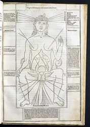 Anatomie féminine du Fasciculus Medicinae par Johannes de Ketham (d.c.1490) vers 1507