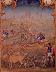 Mois de mars : Travail dans les champs, du Breviarum Grimani