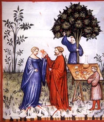 Fol.86r Vin blanc, illustration de 