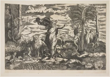 Dieu créant les animaux, c.1550