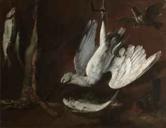 Lièvre, spatule et poisson, milieu des années 1600