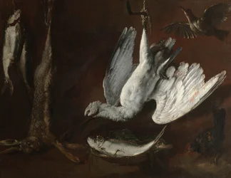 Lièvre, Spatule et Poisson, milieu des années 1600