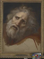 Tête de Laocoon