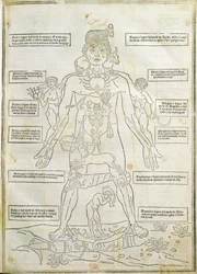 Illustration de 
