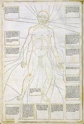 Illustration de 