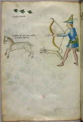 Illustration d