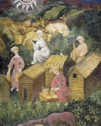 Pâturages de montagne. Traite des vaches et fabrication du fromage