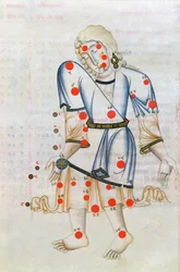 La Constellation de la Vierge, du Liber de stellis fixarum, une traduction latine du Livre des étoiles fixes par Abr ar-Rahman Al Sufi