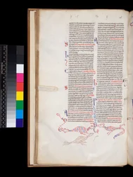 Ms 164. Pierre Lombard, Sententiae, f.15v. Décoration à la plume en bas de page développée en hybrides oiseau/dragon