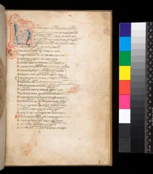 Ms 315. Horace, Ars Poetica et Epistulae, f.1r. Initiale décorée [N] en remplissage damassé bleu et rouge et travail de plume environnant en rouge