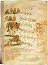 Gémeaux, Lion et Cancer, du 