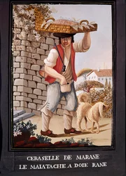 Métiers napolitains : le vendeur de cerises marasques - (Ancien métier : le vendeur de cerises marasques), XIXe siècle - Naples, Museo Nazionale di San Martino