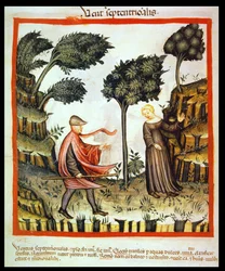 Le vent du nord, de Tacuinum Sanitatis