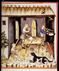 Préparation du fromage blanc, de Tacuinum Sanitatis