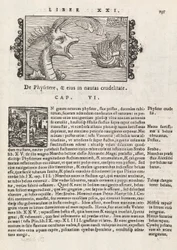 Page 735 de Historia De Gentivus Septentrionalibus par Magnus Olaus, Rome 1565