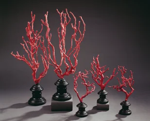 Ensemble de modèles de dessin en bois imitant le corail, de l