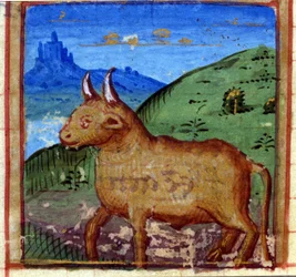 Signe du Taureau. Horoscope italien, milieu du 15ème siècle
