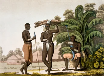 Côte sud-est : population noire, années 1820-30
