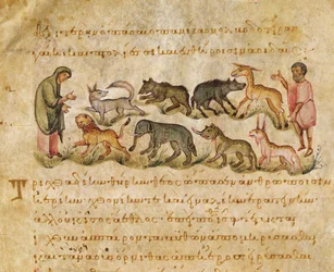 Traité sur les nombreuses espèces animales qui habitent la terre, illustration du Cynegetica par Oppian