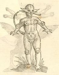 Illustration de Infans capitibus Animalium de l