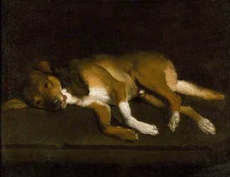 Un chien couché sur une corniche, vers 1630-1720 (huile sur toile)