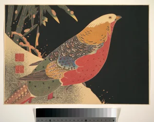 Faisan doré dans la neige, vers 1900 (gravure sur bois, encre et couleur sur papier)