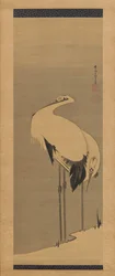 Deux grues