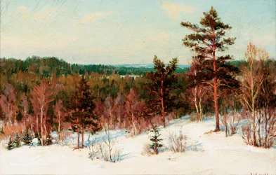 Hiver - Vue sur la forêt