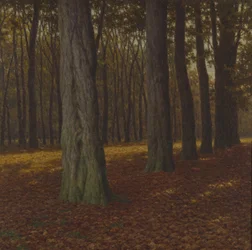 Paysage boisé
