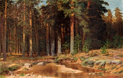 Une pinède, 1898, 1939