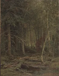 Arrière-pays