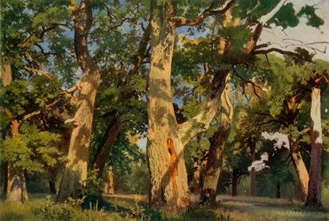 Chênes au crépuscule, 1887, 1965