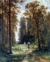 Chemin à travers les bois